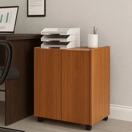Armário Para Escritório Multiuso Com 2 Portas e Nicho